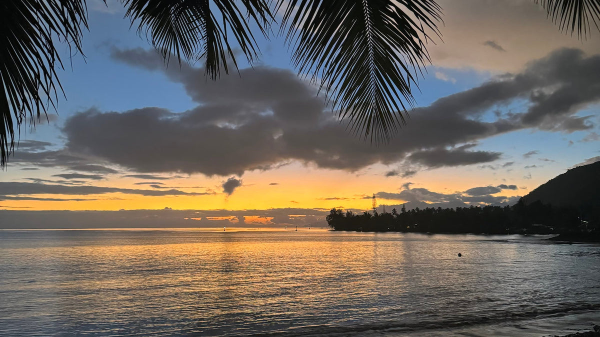 Sunset over the lagoon framed by palm fronds, Tahiti