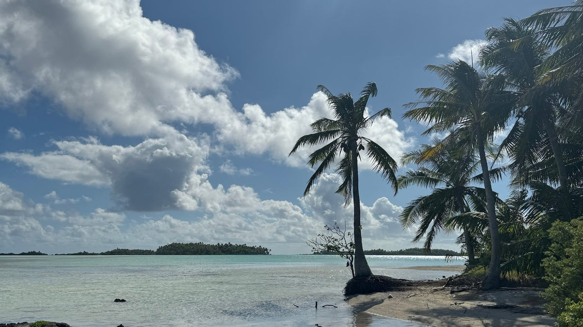 Coconut palms and small islands across a sunlit lagoon in Rangiroa